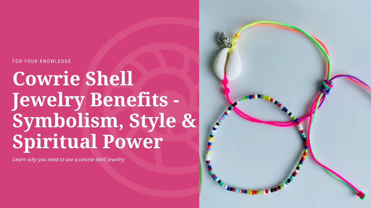 Cowrie Shell Jewelry